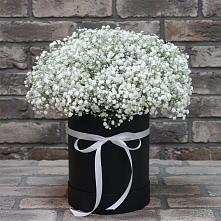 Цветочная композиция из Гипсофила в шляпной коробке #REPLACE_PRED# Рефтинском