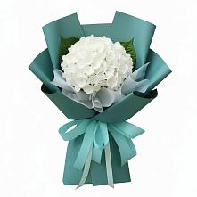 Букет цветов из:  Гортензия #REPLACE_PRED# Рефтинском